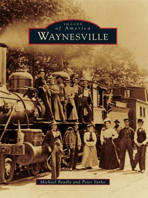 Cover of the book Waynesville by Robert McCue