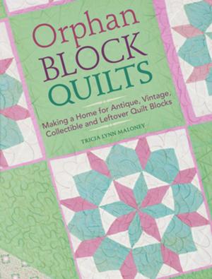Cover of the book Orphan Block Quilts by Edward Wershbale