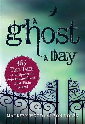 bigCover of the book A Ghost a Day by 