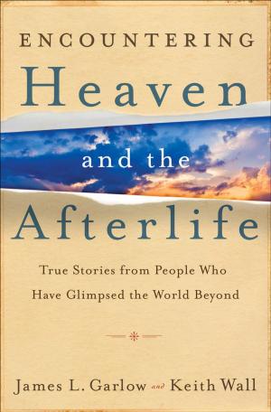 Cover of the book Encountering Heaven and the Afterlife by Steve Gladen