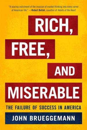 Cover of the book Rich, Free, and Miserable by Nancy E. Marion, Joshua B. Hill