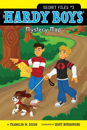 Cover of the book Mystery Map by Michael Dahl