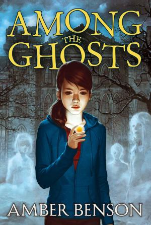 Cover of the book Among the Ghosts by Jill Santopolo