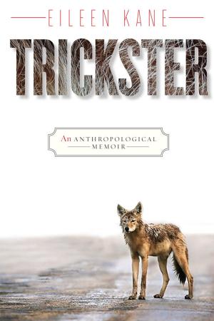 Cover of the book Trickster by John Bratton, David Denham