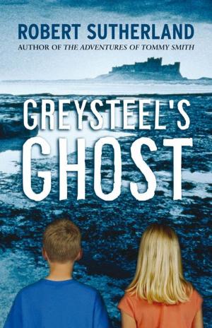 bigCover of the book Greysteel's Ghost by 