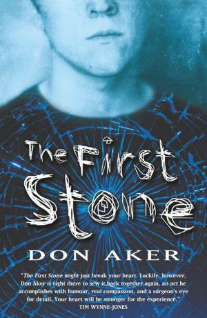 Cover of the book The First Stone by R.L. Stine
