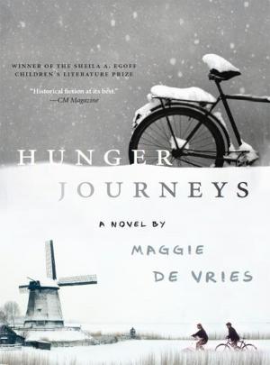Book cover of Hunger Journeys