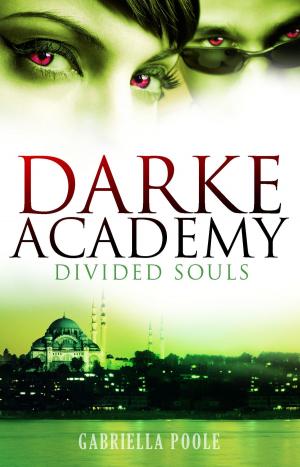 Cover of the book Darke Academy: Divided Souls by Rachel Anderson
