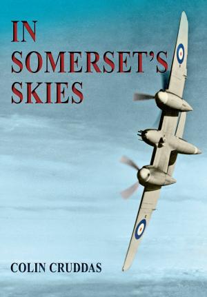 Cover of the book In Somerset's Skies by Dr Stan Beckensall