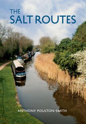 Cover of the book The Salt Routes by Phil Carradice