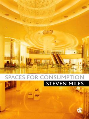 Cover of the book Spaces for Consumption by Brian R. Fry, Jos C. N. Raadschelders