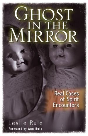 Book cover of Ghost in the Mirror: Real Cases of Spirit Encounters
