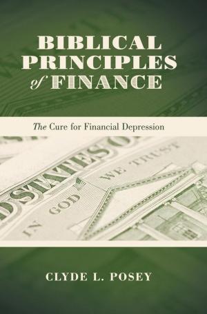 Cover of the book Biblical Principles of Finance by Maurice J. Robinson