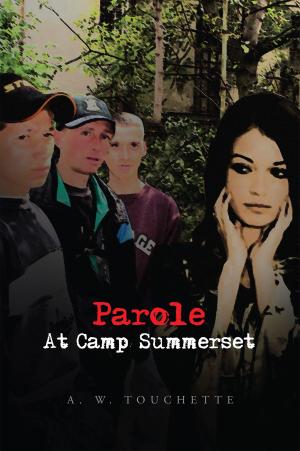 Cover of the book Parole at Camp Summerset by David Cronin