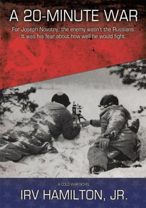 Cover of the book A 20-Minute War by John Belori