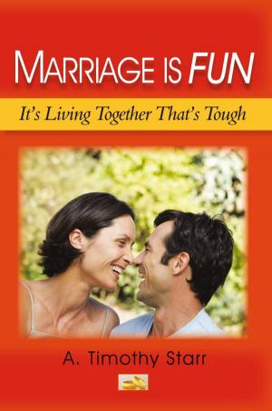 Cover of the book Marriage Is Fun by Daniel Lloyd Little