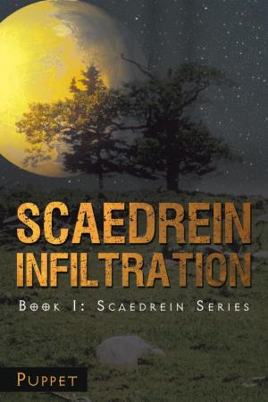 Cover of the book Scaedrein Infiltration by Reza