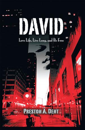 Cover of the book David by Michael Adi Nachman