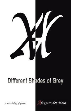 Cover of the book Different Shades of Grey by G. Marvin Stephens