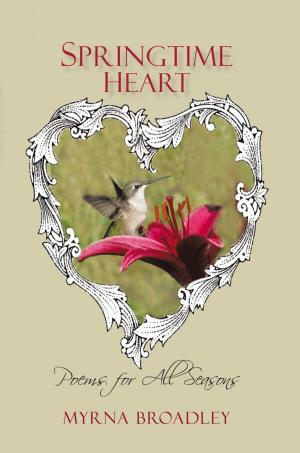 Cover of the book Springtime Heart by Joyce C. Smolkin