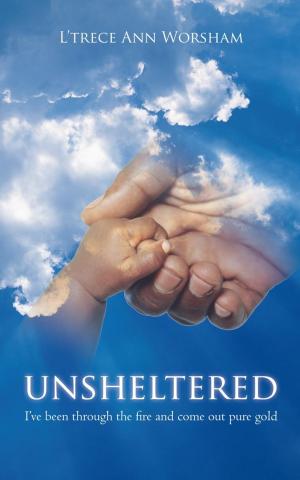 Cover of the book Unsheltered by Edwina Orth