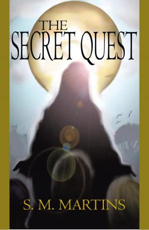 Cover of the book The Secret Quest by Paul McKellips
