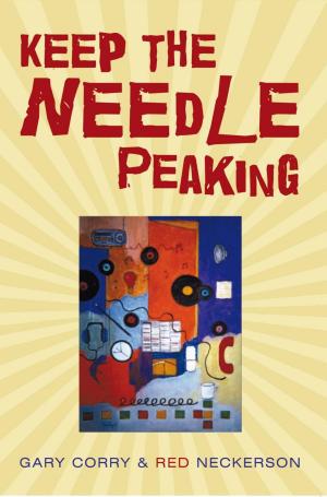 Cover of the book Keep the Needle Peaking by Julia SvadiHatra