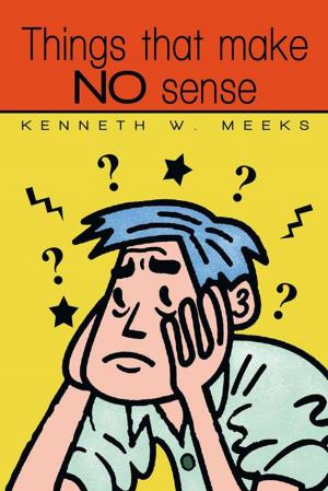 Cover of the book Things That Make No Sense by Wipey