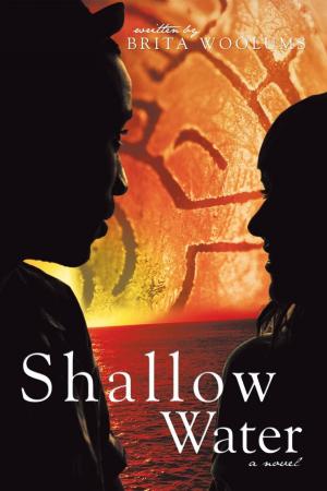 Cover of the book Shallow Water by Stephen David Bourgeois