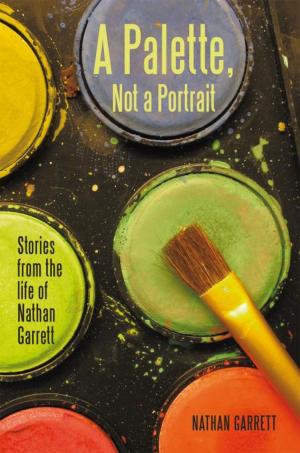 Cover of the book A Palette, Not a Portrait by Jude Stringfellow