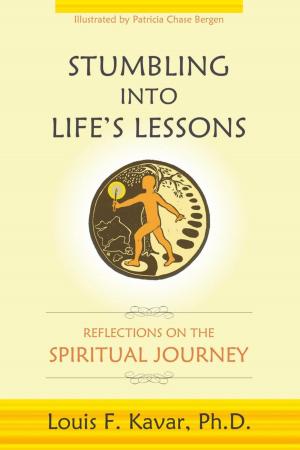 Cover of the book Stumbling into Life's Lessons by Darryl Gopaul
