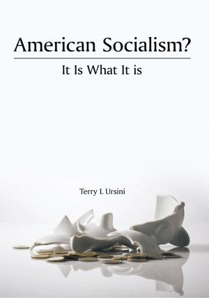 Cover of the book American Socialism? It Is What It Is by Manfred Wolf