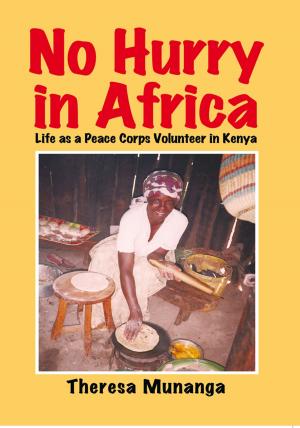 Cover of the book No Hurry in Africa by Terri Severin