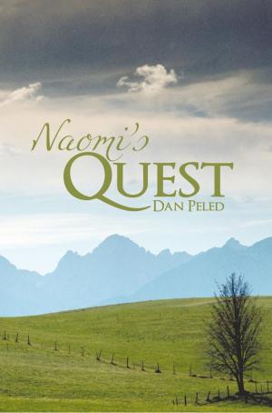 Cover of the book Naomi's Quest by Gini Graham Scott Ph.D.