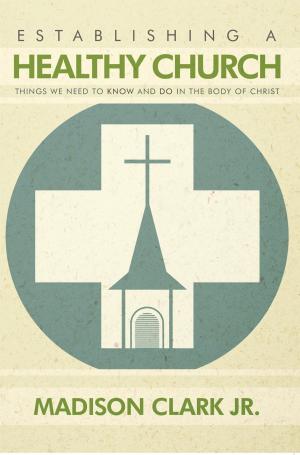 Cover of the book Establishing a Healthy Church by J. Michael Robertson