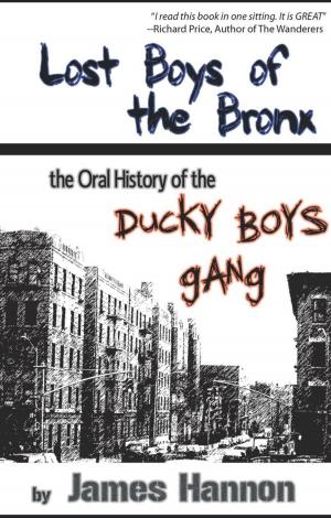 Cover of the book Lost Boys of the Bronx by Bernadette Lyttle-Smith