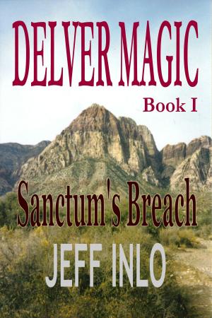 Cover of the book Delver Magic Book I: Sanctum's Breach by Melissa Bitter