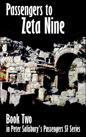 Cover of the book Passengers to Zeta Nine by Peter Salisbury