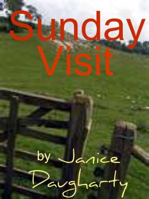 Cover of Sunday Visit