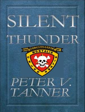 Cover of the book Silent Thunder by Michael McGrinder