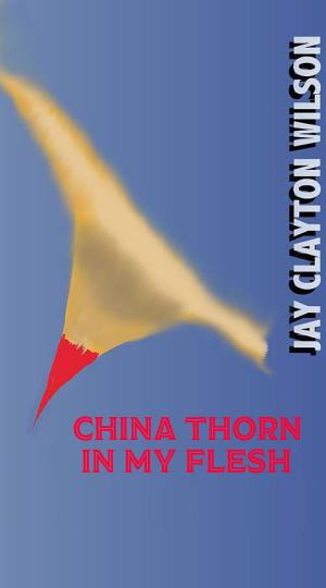 bigCover of the book China Thorn in My Flesh by 