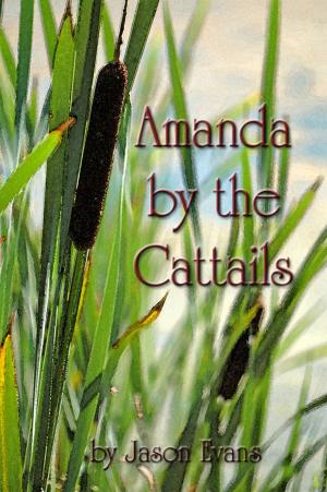 Book cover of Amanda by the Cattails