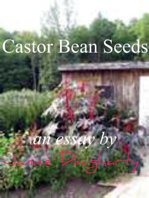Cover of the book Castor Bean Seeds by Janice Daugharty