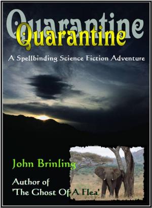 Cover of the book Quarantine by CJ Rutherford