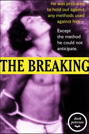 Cover of the book The Breaking (The Eternal Dungeon) by Dusk Peterson