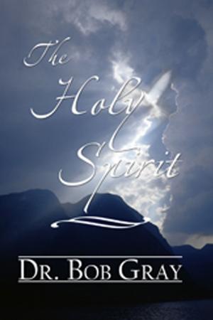 Cover of the book The Holy Spirit by Rev Paul J. Bern