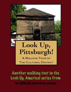 Book cover of A Walking Tour of Pittsburgh's Cultural District