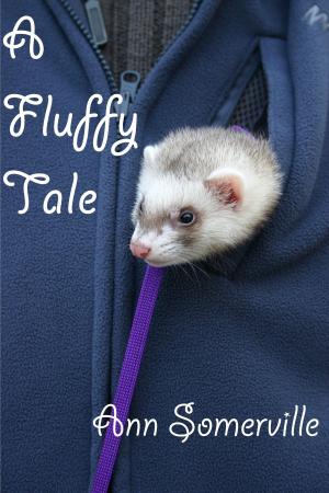 Book cover of A Fluffy Tale