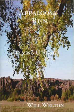 Book cover of Appaloosa Run