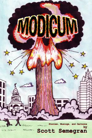 Cover of the book Modicum by Josepha Sherman, Susan Shwartz